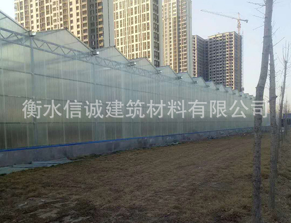 花卉園林溫室大棚陽(yáng)光板